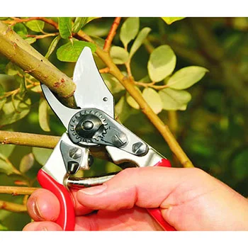 Felco komplet - makaze za orezivanje Felco 6+ kapa-4