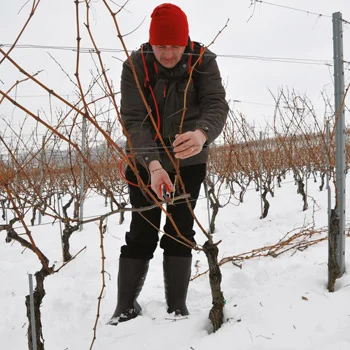 Felco električne makaze za orezivanje (komplet) 801-5