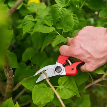 Felco makaze za orezivanje 25mm 171L Felco makaze za orezivanje 25mm 171L