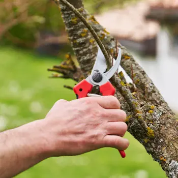 Felco makaze za orezivanje 25mm 171L Felco makaze za orezivanje 25mm 171L