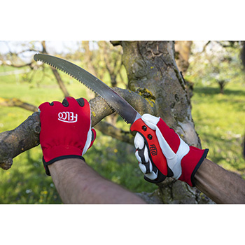 Felco komplet - makaze za orezivanje Felco 6 + zaštitne rukavice Felco 702 (S, M) Felco komplet - makaze za orezivanje Felco 6 + zaštitne rukavice Felco 702 (S, M)