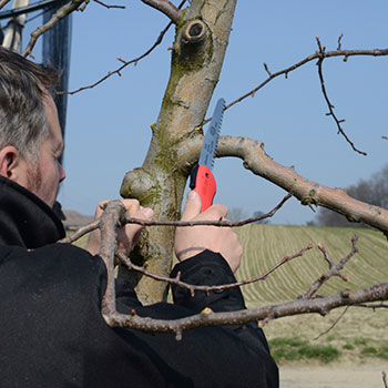 Felco ručna testera za orezivanje sklopiva 600 Felco ručna testera za orezivanje sklopiva 600