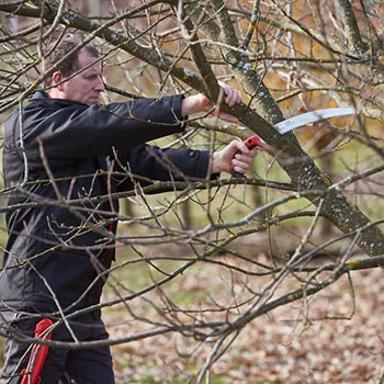 Felco ručna testera za orezivanje sa koricama 630 Felco ručna testera za orezivanje sa koricama 630