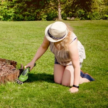 Fieldmann akumulatorski trimer za travu i grmlje FZN 4102-AT-1