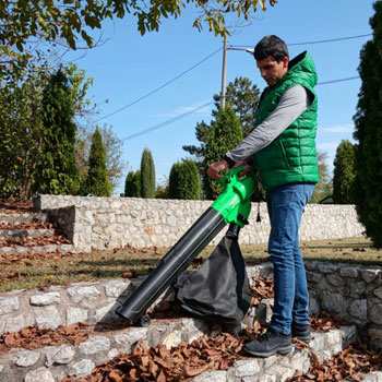 Garden Master električni duvač i usisivač 3000W VB3000-2