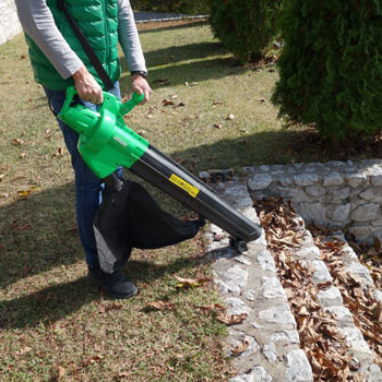 Garden Master električni duvač i usisivač 3000W VB3000-3