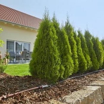 Gardena kap po kap Start SET podzemni 50m GA 01389-20 Gardena kap po kap Start SET podzemni 50m GA 01389-20