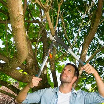 Gardena makaze za grane SmartCut Comfort GA 08773-20-1