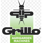 Grillo