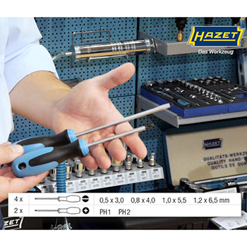 Akcijski komplet - Hazet set šrafcigera 6 kom HZ-810/6 + Normfest pasta za čišćenje ruku 10l NF-2897-240-8-3