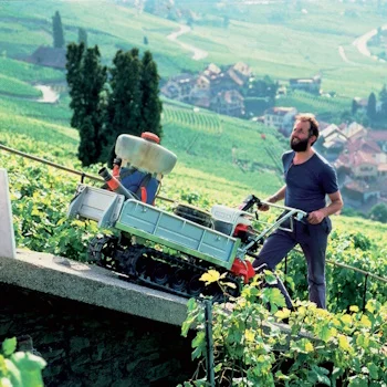 Honda motorni transporter HP 500-2