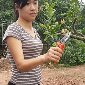 Lowe makaze za orezivanje L15.107 Lowe makaze za orezivanje L15.107