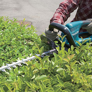 Makita električne makaze za živu ogradu UH5570 Makita električne makaze za živu ogradu UH5570