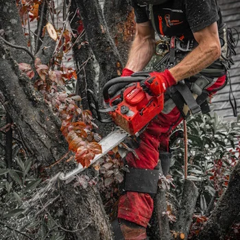 Milwaukee aku lančana testera 30cm 18V 8.0Ah M18 FTHCHS30-802GB 4933479990-5