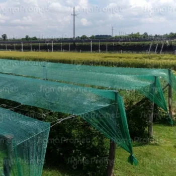 Mreža za zasenu 2.00x100m 200m²-4