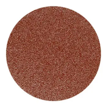 Proxxon brusni diskovi (korund) Ø50mm granulacija 80 12/1 P28549 Proxxon brusni diskovi (korund) Ø50mm granulacija 80 12/1 P28549