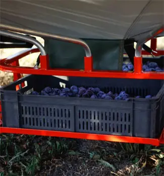HARVEST 2.9m sakupljač voća – profesionalni ručni berba sistem HARVEST 2.9m sakupljač voća – profesionalni ručni berba sistem