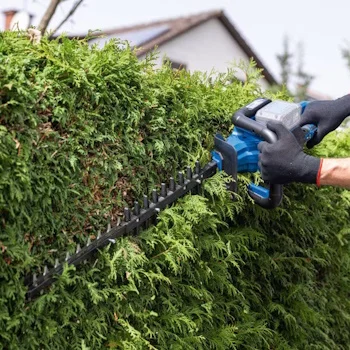 Scheppach aku makaze za živu ogradu Brushless IXES BC-HT720-X + set 2x punjač 2.4A i 2 x baterija 4.0Ah-1