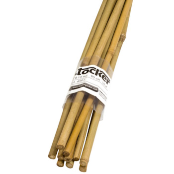 Stocker bambus 90cm 10/1 A4591 Stocker bambus 90cm 10/1 A4591