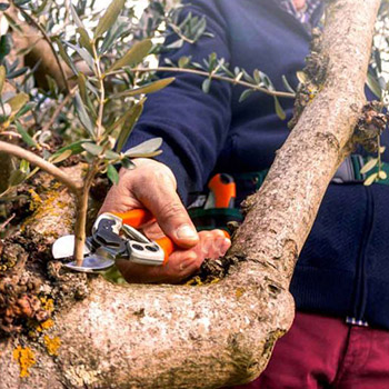 Stocker makaze za orezivanje A376 Stocker makaze za orezivanje A376