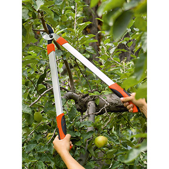 Stocker makaze za grane Hobby 66cm A7230 Stocker makaze za grane Hobby 66cm A7230