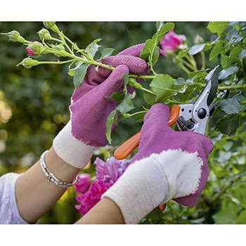 Stocker rukavice za ruže A22091 Stocker rukavice za ruže A22091