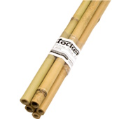 Stocker bambus 150cm 5/1 A4593
