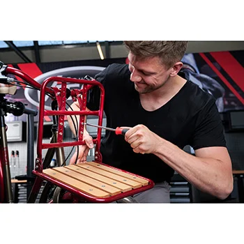 Vigor akcijski komplet - set T-Torx ključeva T9-T40 8 kom VI-V1410 + set Torx odvijača T6-T9 4 kom VI-V4418-8