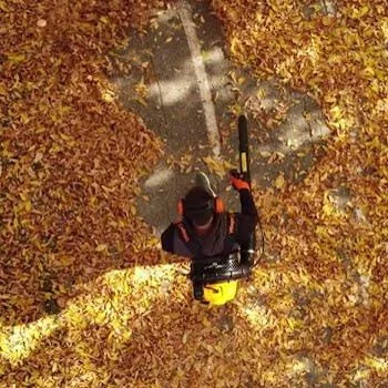 Villager motorni duvač lišća VB 5290 E 037054 -5