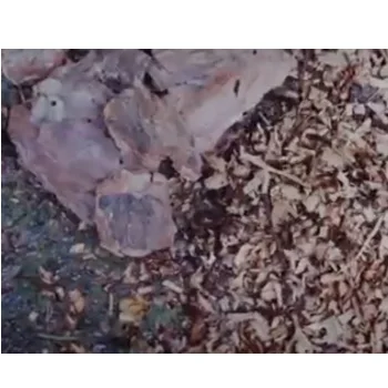 Villager motorna seckalica za grane VPC 160 L-4