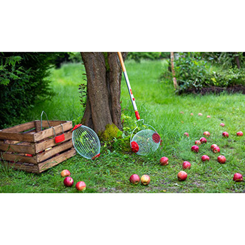 Wolf Garten multi-star® sakupljač voća i orašastih plodova FC-MS Wolf Garten multi-star® sakupljač voća i orašastih plodova FC-MS
