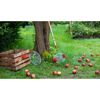 Wolf Garten multi-star® sakupljač voća i orašastih plodova FC-MS Wolf Garten multi-star® sakupljač voća i orašastih plodova FC-MS