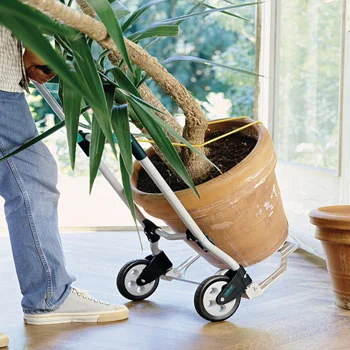 Wolfcraft transportna kolica do 70 kg TS 600 5505000-6